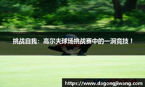 挑战自我：高尔夫球场挑战赛中的一洞竞技 !